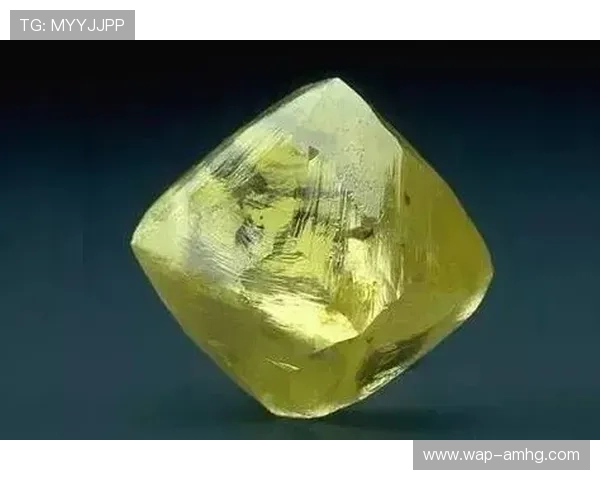 奥地利皇冠的现代保护措施与文化传承现状分析