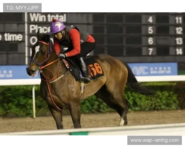 澳门赛马会网站最新资讯与赛事直播全攻略,精彩不断不容错过