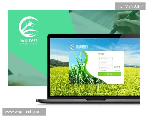 皇冠登3平台出租的优势解析及用户体验反馈与建议 皇冠登3平台出租的优势解析及用户体验反馈与建议