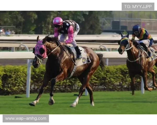 hkjc体育：香港赛马会体育博彩平台安全性分析与用户实用体验分享